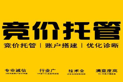 SEM广告案例：精准投放实现业绩增长